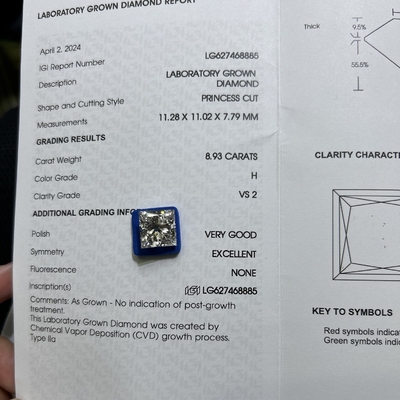 Beli 8.93CT H Warna VS2 Kejernihan 2EX CVD Lab dewasa Putri Potong Berlian online manufacture